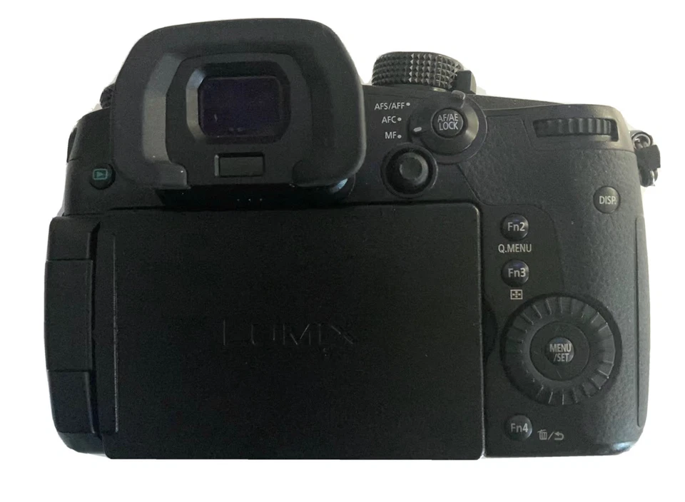 Panasonic Lumix GH5S, foto 4 di 5