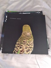 ANDREW BIRD   Vintage Promo poster 12 x 12 