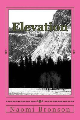 Elevation: Grace To Shift Into Your God-Given Territory by Larry E. Bronson (Eng