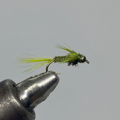 Beadhead Pheasant Tail Olive, 12 Pack Fly Fishing Nymph- Strike Fly Company