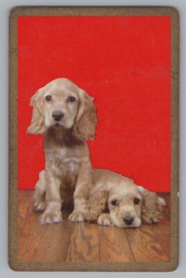 Q) ONE Single Swap Playing Card Artistic Dog Canine Vintage King Of Spades