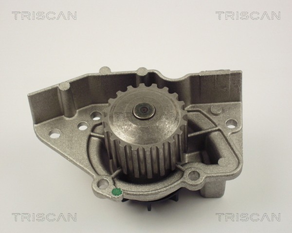 Wasserpumpe MotorküHlung Triscan 8600 28916 FüR Fiat 406 405 Peugeot 306 205 309-image