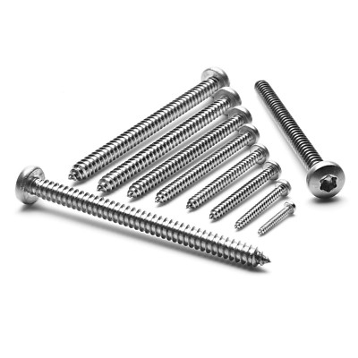 Blechschrauben DIN 7981 Linsenkopf Edelstahl A2 V2A TORX ISO 14585 2,2 6,3 mm