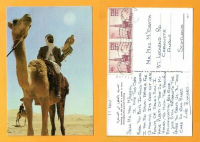 SAUDI ARABIA  VINTAGE POSTCARD  K.S.A STAMP HAWKING ON THE BACK OF A CAMEL..