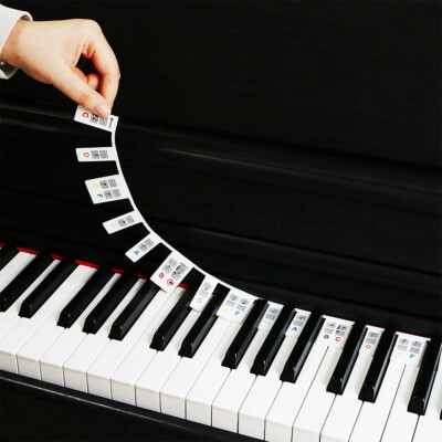 Klavier Tastatur Noten Etiketten Abnehmbare Silikon Klavier Aufkleber 88 Tasten Wiederverwendbar AU