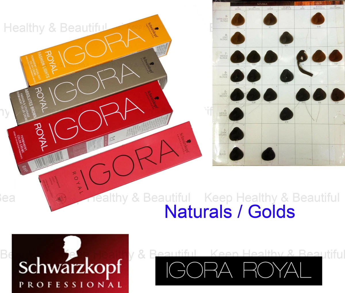 Discover 143+ igora hair colour chart ceg.edu.vn