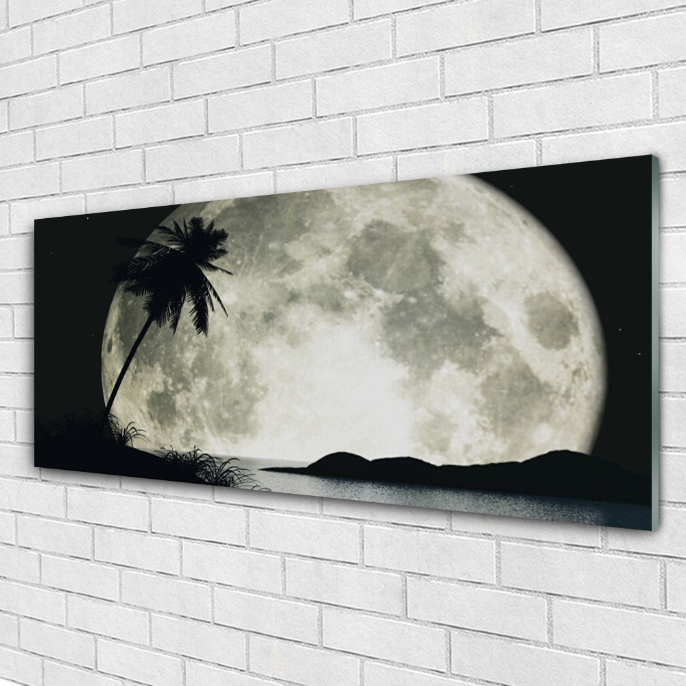 Tableau Plexiglas paysage nuit lune palme 125x50, déco murale salon moderne et cadre panoramique