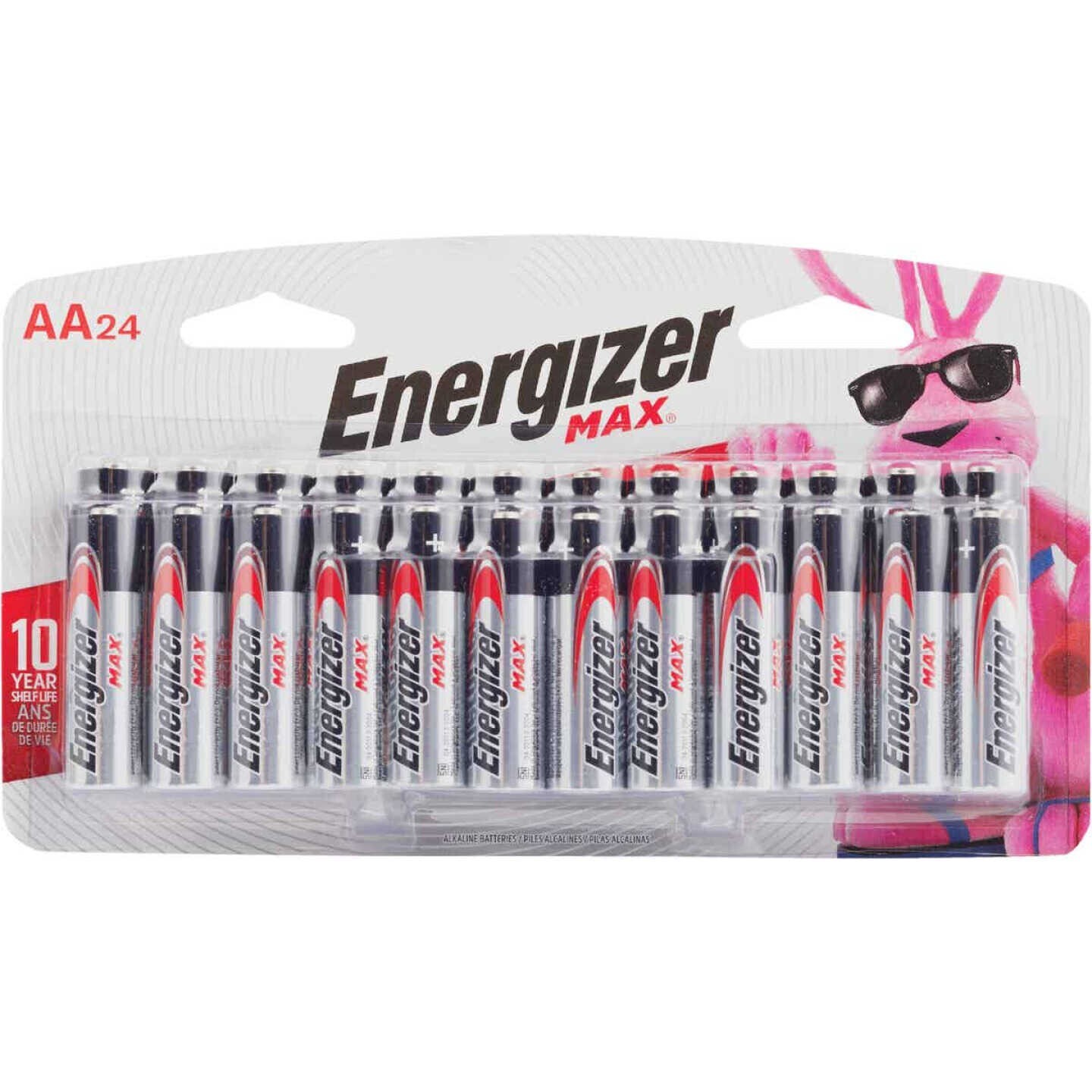 AA Batteries-image