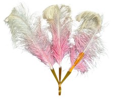 Antique Vintage Ostrich Feathers Fan