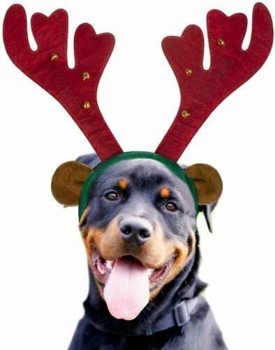 PAWZ Polyester Dog Costumes