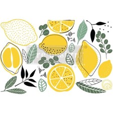 Rub On Furniture Transfers Lemon Furniture Decals Redesign with Prima