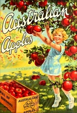 Australia 1930 Australian Apples Vintage Poster Print Retro Style Travel Art
