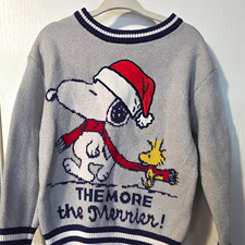 Peanuts Christmas Snoopy Woodstock Graphic Pullover Sweater Gray Blue Trim 3T