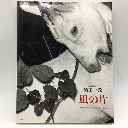 NAGI NO HIRA BY SUDA ISSEI