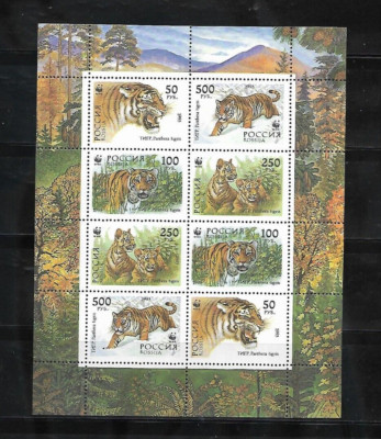 RUSSIA 1993 WWF NATURE WILD ANIMALS- TIGER MINI SHEET FAUNA MNH | eBay
