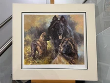 Mick Cawston - Belgium Shepherd Dogs  - Mounted (In Stock)