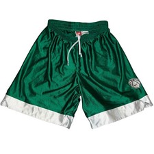 Vintage 90s Nike Basketball Shorts M USA Logo Dazzle Silky Shiny Baggy Green