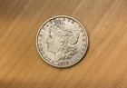 1878-P Morgan Silver Dollar #3041 Known as Chicken Loaf, Very-Fine Lady