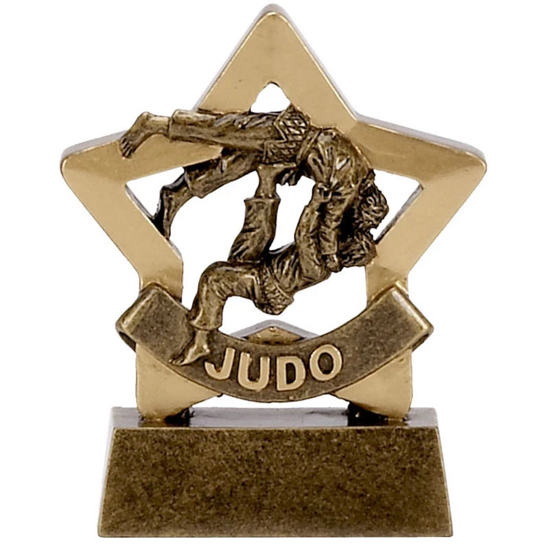 TROPHIES-4-EVERYTHING Judo Mini Stars Preis Auszeichnung Pokal GRATIS GRAVUR