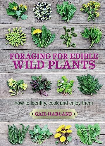 Foraging for Edible Wild Plants: How to Identify, Cook and Enjoy Them - Image 10