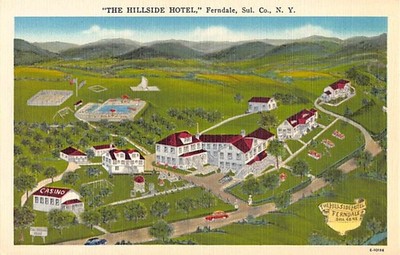FERNDALE, SULLIVAN COUNTY, NY, HILLSIDE HOTEL JUDAICA Pub. LANDIS #E-10184 1930s