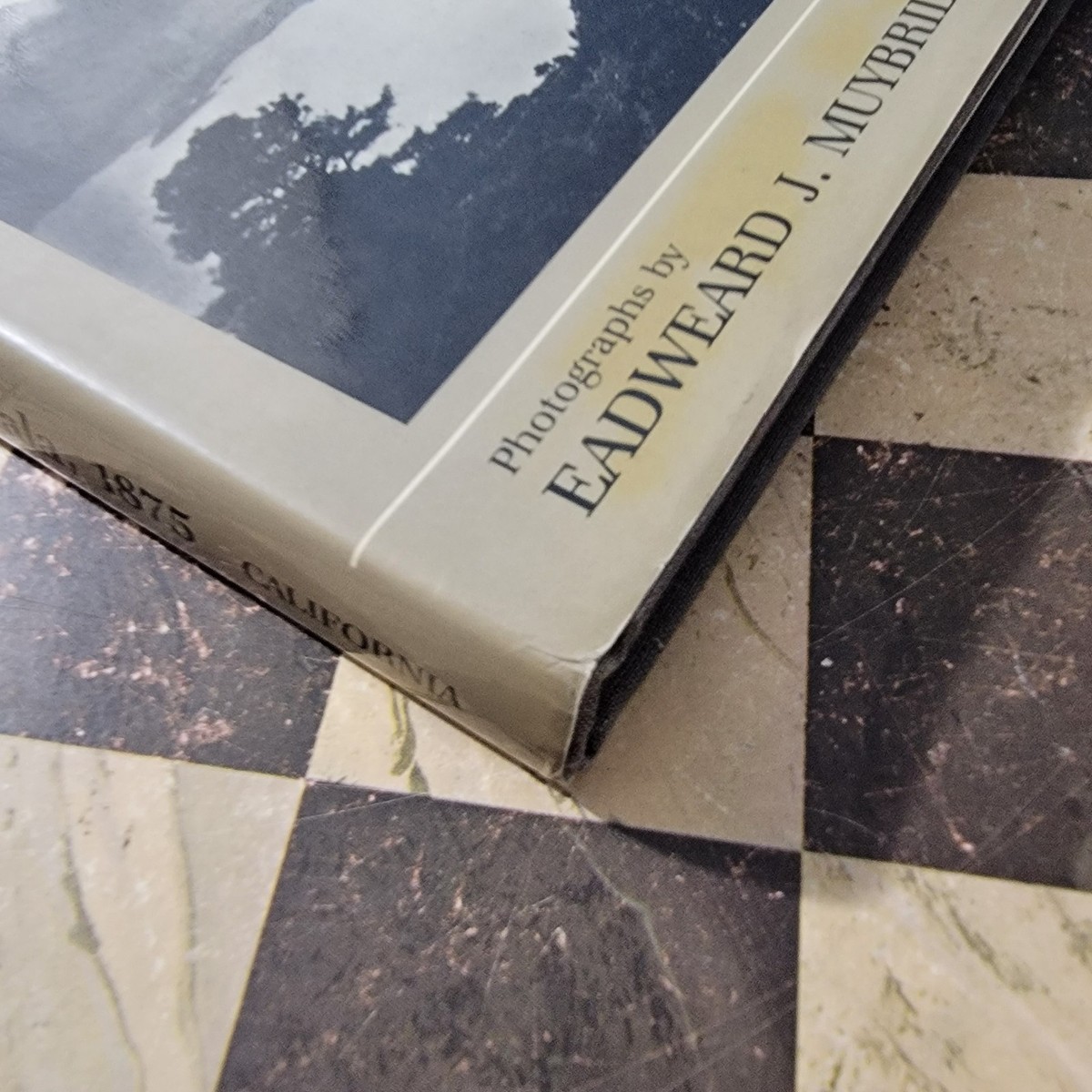 Eadweard Muybridge in Guatemala 1875 : The Photographer as Social