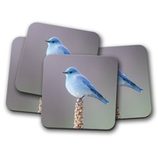 4 Set - Beautiful Mountain Blue Bird Coaster - Bluebird Twitcher Fun Gift #12618