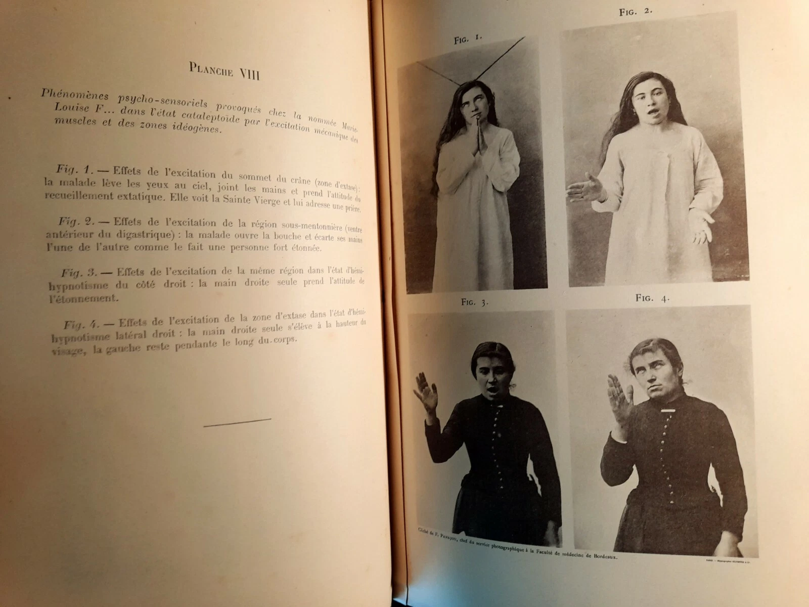 Photo 12/12