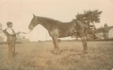 Hull England RPPC Vintage Postcard Man with Horse