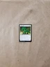 MTG Magic The List - Planechase Anthology X1 Felidar Umbra (NM/MINT)