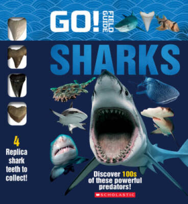 Go Field Guide: Sharks - Paperback By Scholastic - ACCEPTABLE