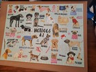 Mudpuppy 1000 Piece Jigsaw Puzzle: "Hotdogs A-Z" 27"X20" Dog Breeds Complete — photo 2