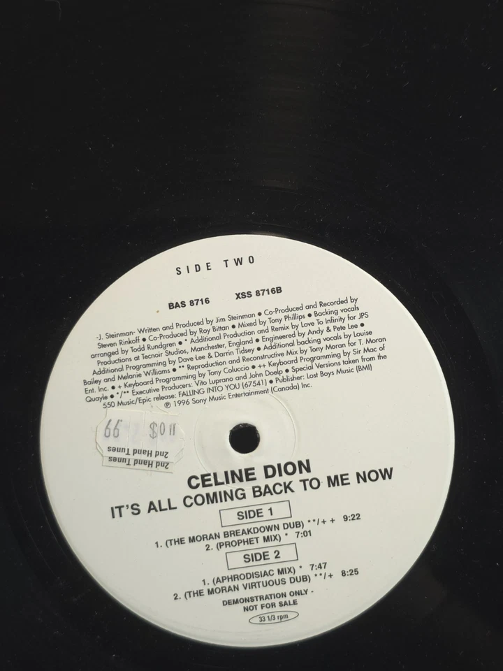 CELINE DION: it's all coming back to me now (remixes) EPIC 12" Single 33 RPM Foto 4 de 4