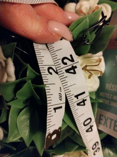 Martha Stewart 14" HANGING TOPIARY KISSING PLANT BALL Gardenia Ivory Fern NEW - Picture 4 of 22