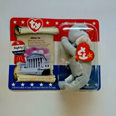 buying a kitten near me