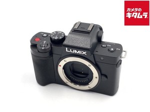 Panasonic Lumix G100 | eBay