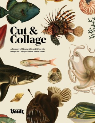 Cut And Collage