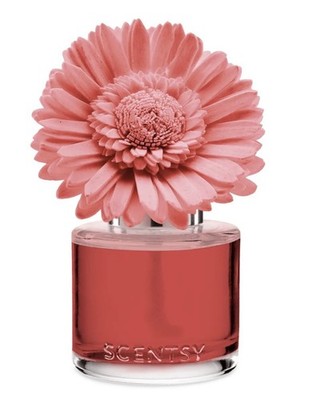 Scentsy Duftblume Garden Bouquet Glorious Grapefruit