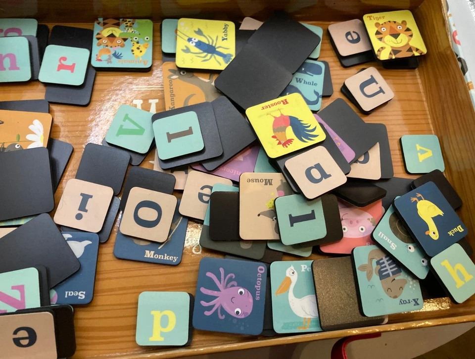 Tribu Tigre Magnífico Mundo de Animales ABC Conjunto Magnético - Letras y Tarjetas Foto 3 de 4