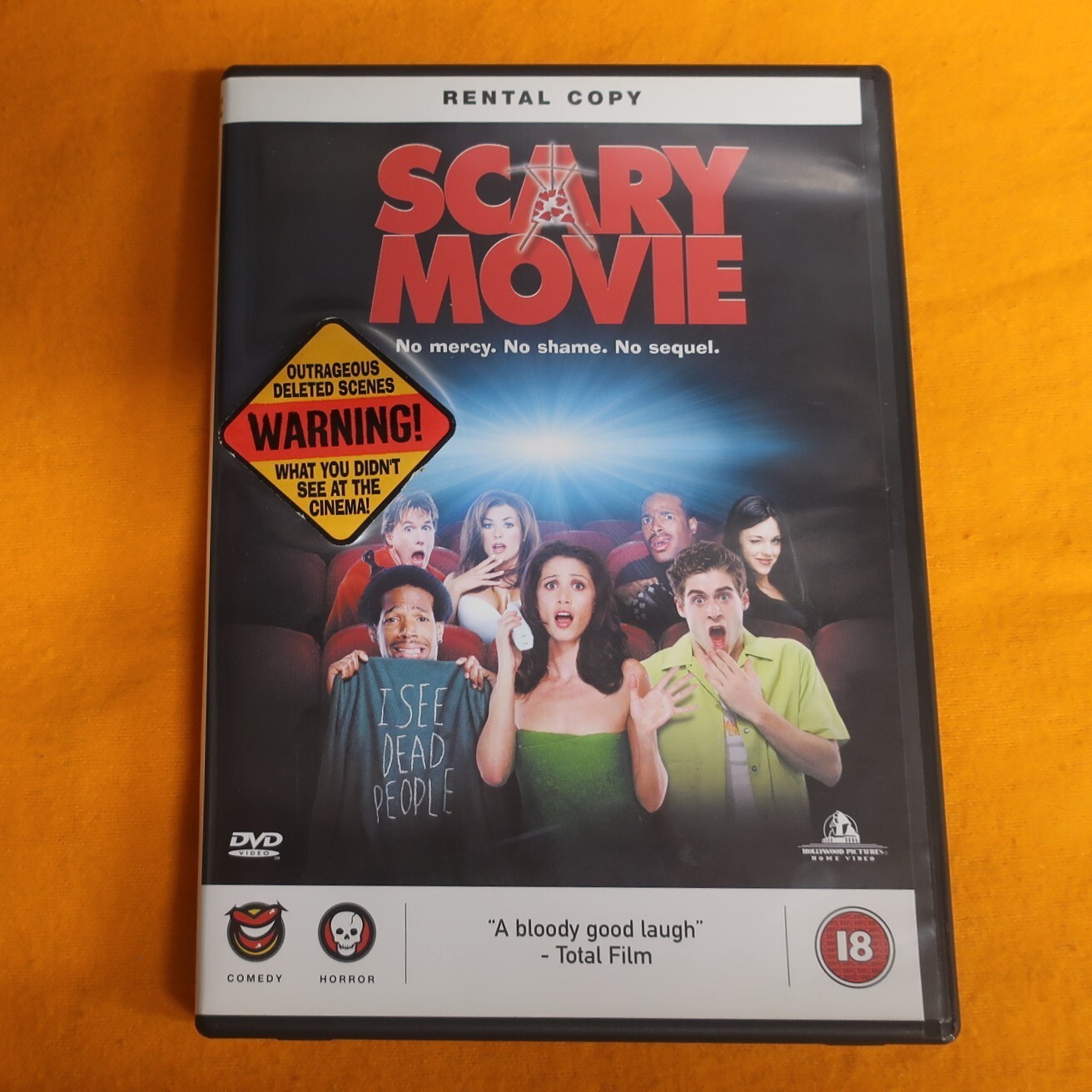 Scary Movie 1 DVD *RENTAL COPY*