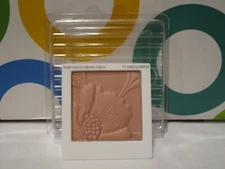 CLINIQUE ~ FRESH BLOOM ALLOVER COLOUR ~ # 11 PEONY BLEND ~ BLISTER PACK