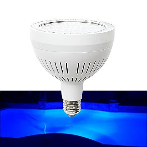 Replacement Inground Pool Light Bulbs Shelly Lighting