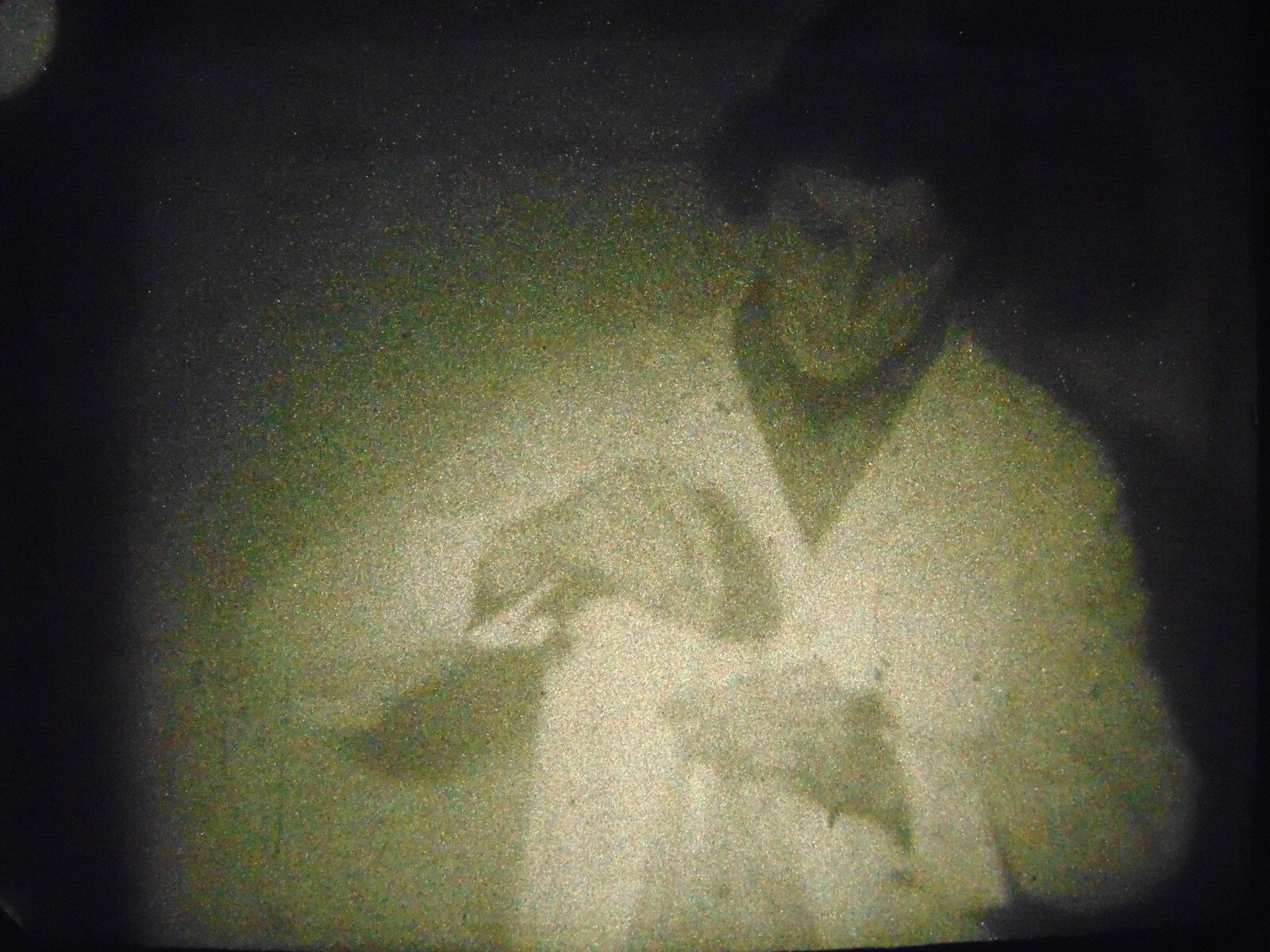 Picture 16 of 17