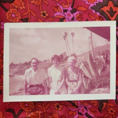 VTG 1950s Kodacolor Photo Family Vacation Beach Palm Trees 1958