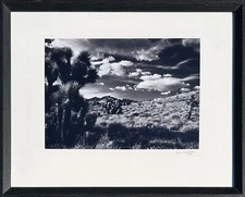 Jim Millett - Owens Valley, Dec. 1997   (C2440O)