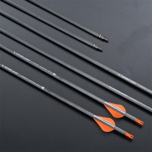 6/12PK 30" Carbon Arrows Archery Hunting Spine 250 for Compound Recurve bow - Picture 14 of 21