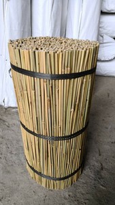 ebay garden canes