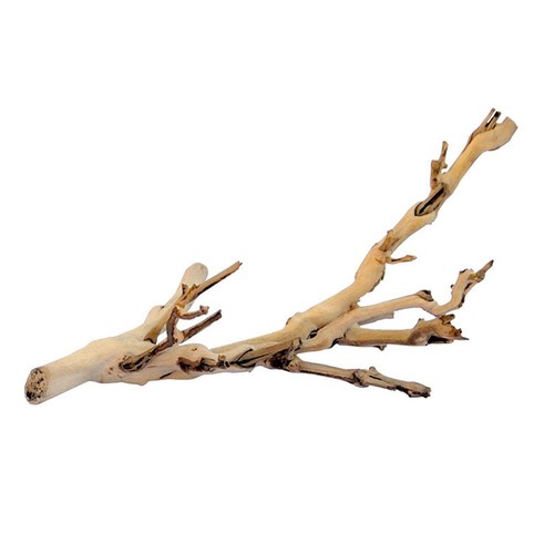 Exo Terra Forest Branches Reptile Vivarium Decor Ornament eBay