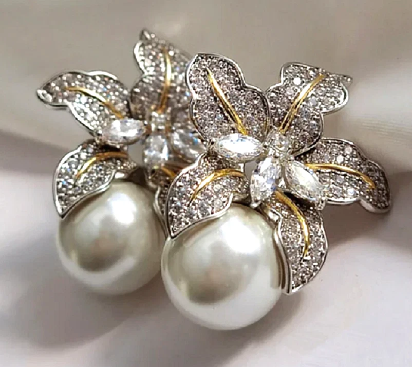 Introduzione Della Conchiglia E Della Madreperla - 6 Tipi Di - Foto 4