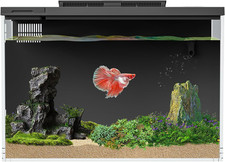 Smart 4 Gallon Betta Fish Tank with APP Control, Filter, Light  Self-Cleaning